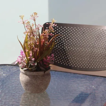 Valentina's Luxe * マスティハリ